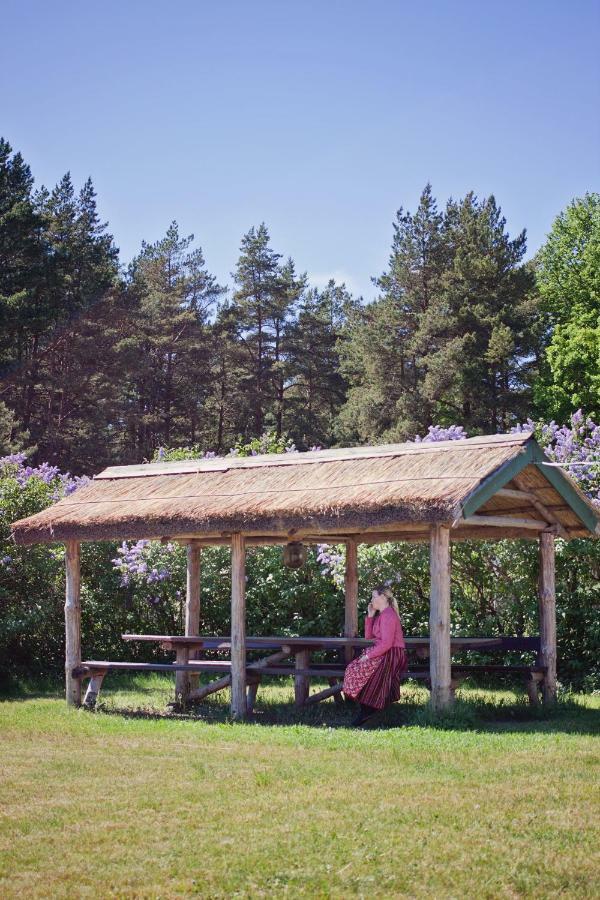 Kihnu Sadama Oeoemaja Guesthouse Lemsi エクステリア 写真